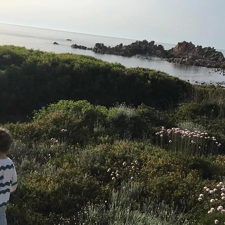 Stanza/monolocale Sardegna 300m Dalla Appartamento